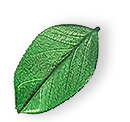 https://splus.forthprodigital.in/wp-content/uploads/2025/07/floating_leaf_01.png